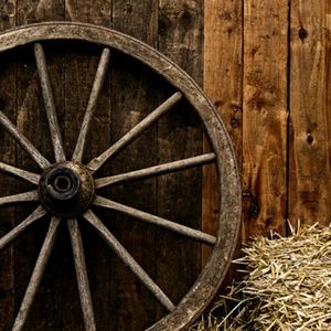 Meet your Posher, Don